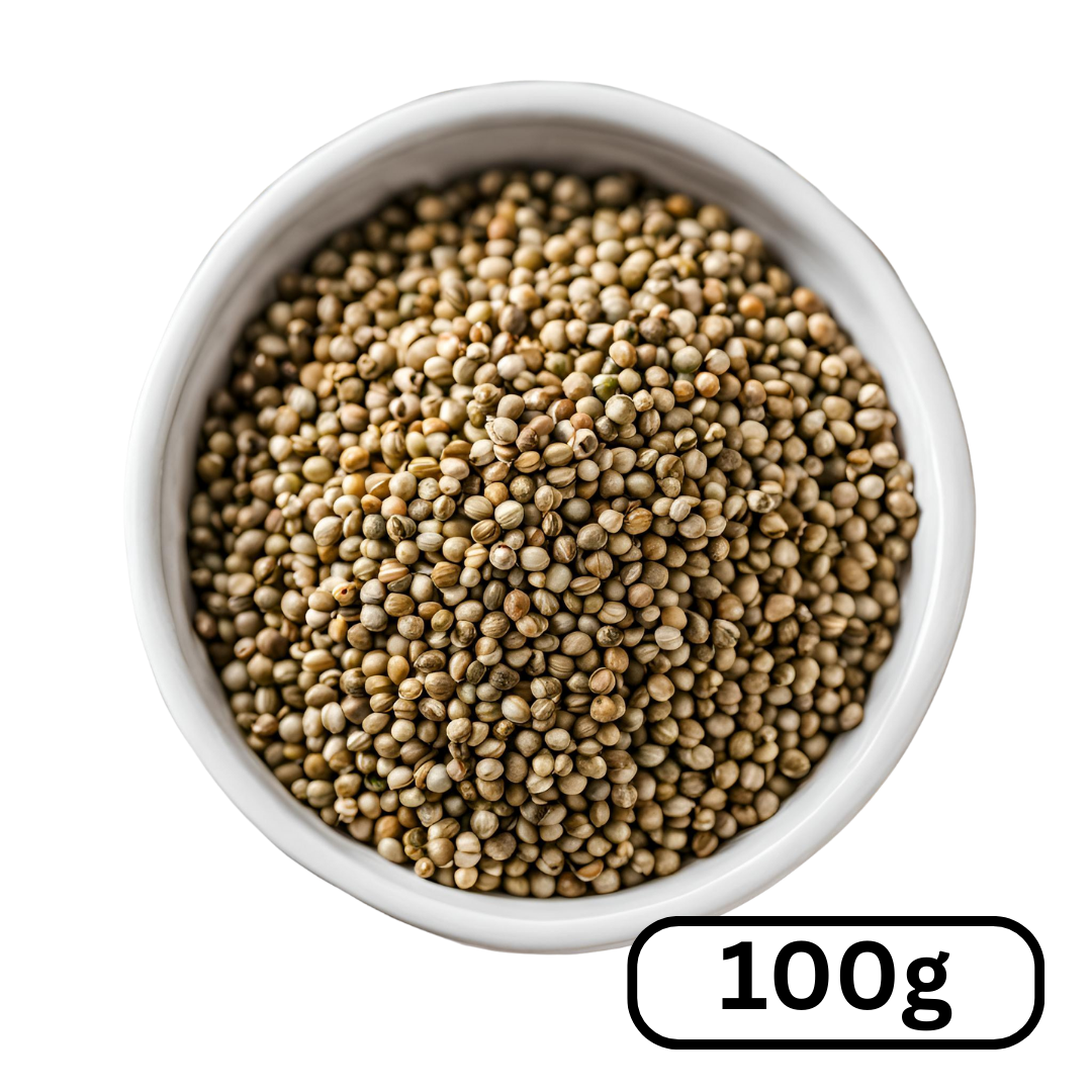 Coriander 