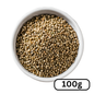 Coriander 