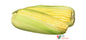 Sweet corn(1kg) Pre-order